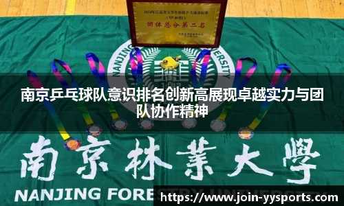 YY易游体育